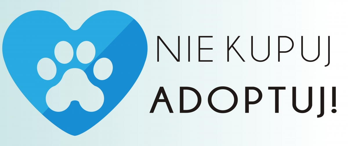 Adoptuj psa